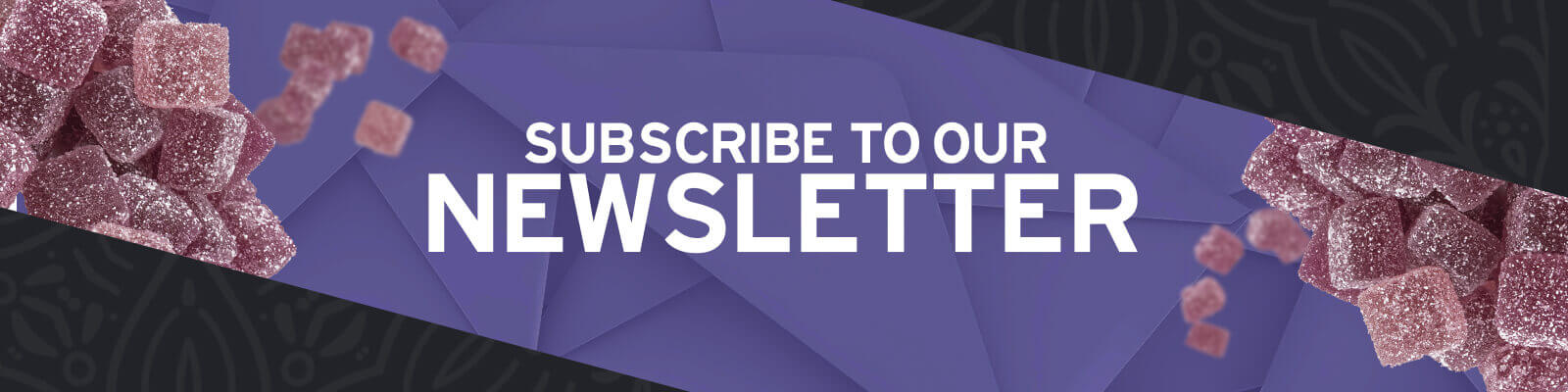 Subscribe to our newsletter